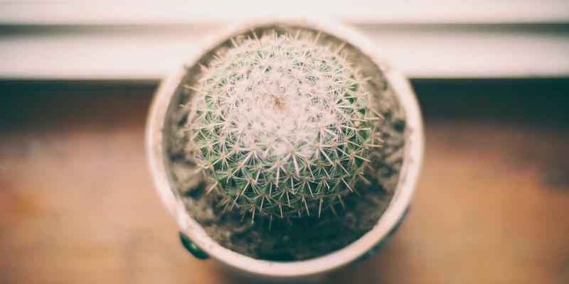 VI设计与品牌形象的法律护城河：商标注册、版权保护与侵权风险规避指南