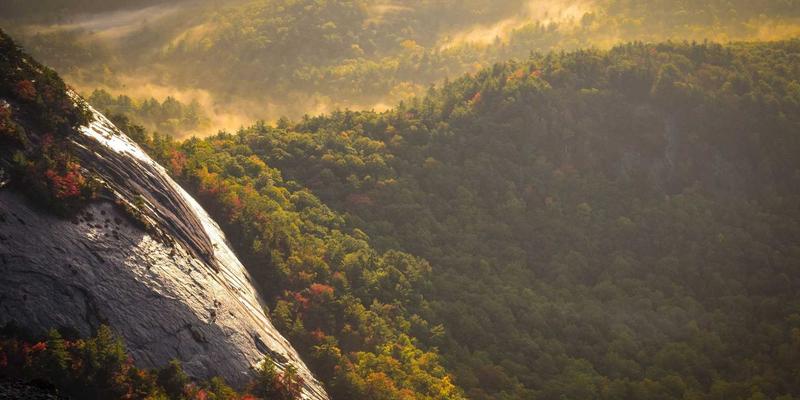 元宇宙中的标识设计：如何打造酷标志与虚拟品牌资产