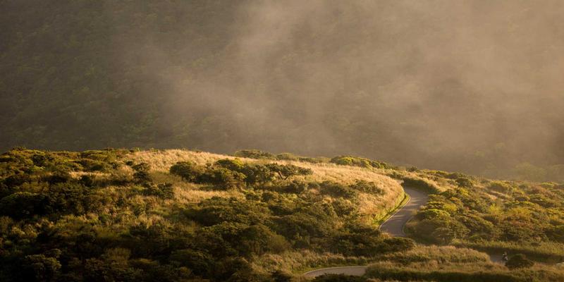 动态标识设计：如何用酷标志打造高互动性数字营销VI