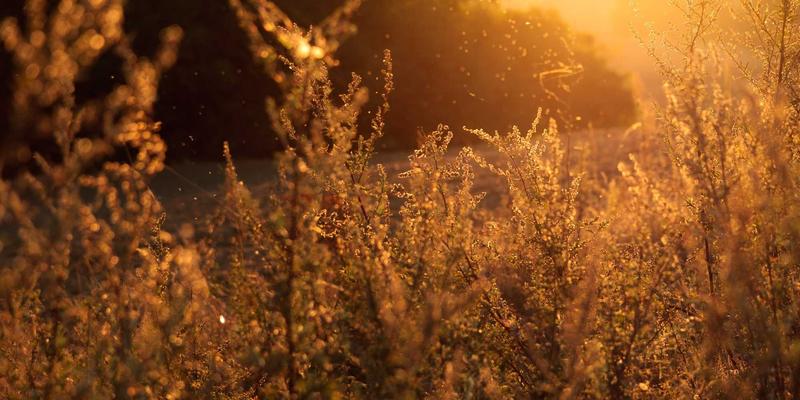 动态标识设计趋势：从静态Logo到可变式动态标识的演进与应用