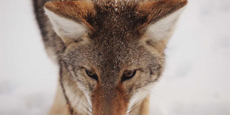 品牌策划必修课：如何运用色彩心理学打造令人过目不忘的酷标志