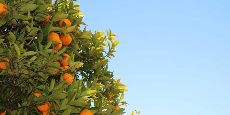 标识设计100：从LOGO到品牌形象的完整构建指南