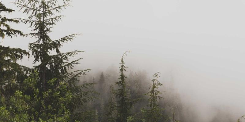 标识设计18：从LOGO设计到品牌策划的完整视觉战略