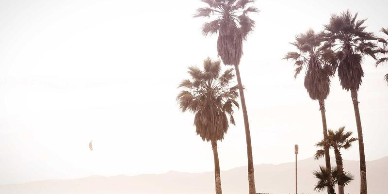 标识设计20：从LOGO到VI的完整视觉战略进化论