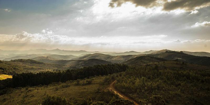 标识设计21：从酷标志到系统化VI，解码品牌视觉战略的核心