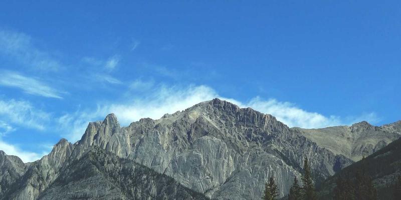 标识设计37：从LOGO设计到品牌形象构建的完整策略