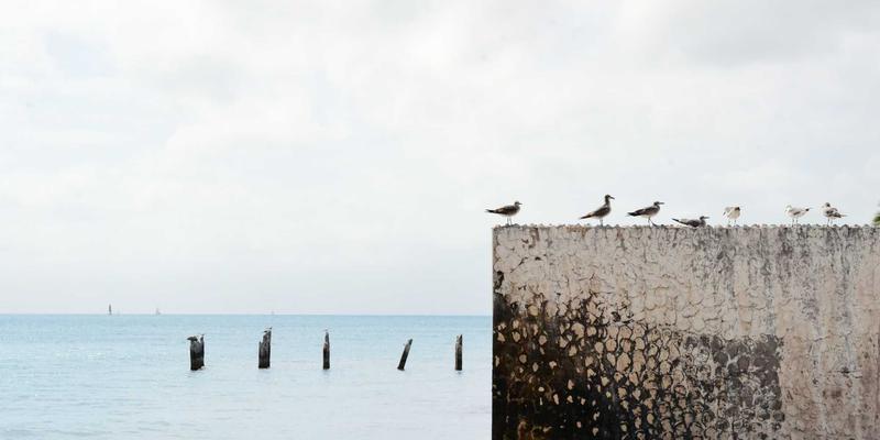 标识设计79：从LOGO设计到品牌策划的完整战略解析