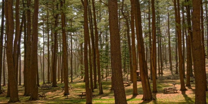 标识设计97：从LOGO到VI的系统化品牌视觉构建之道