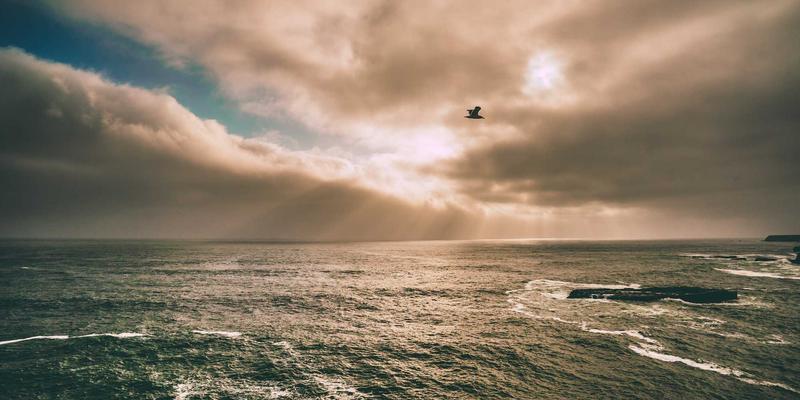 标识设计与用户体验（UX）：视觉符号如何提升用户互动与品牌忠诚度