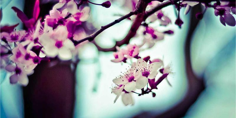 标识设计中的负空间艺术：如何打造令人过目不忘的酷标志