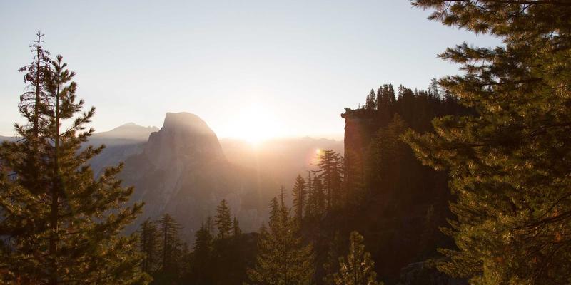 标识设计：塑造品牌形象的核心艺术