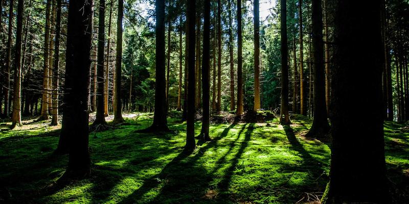 标识设计推荐：从VI设计到品牌策划，打造令人过目不忘的酷标志