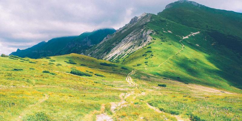 标识设计的可访问性考量：如何打造包容不同受众的品牌视觉形象