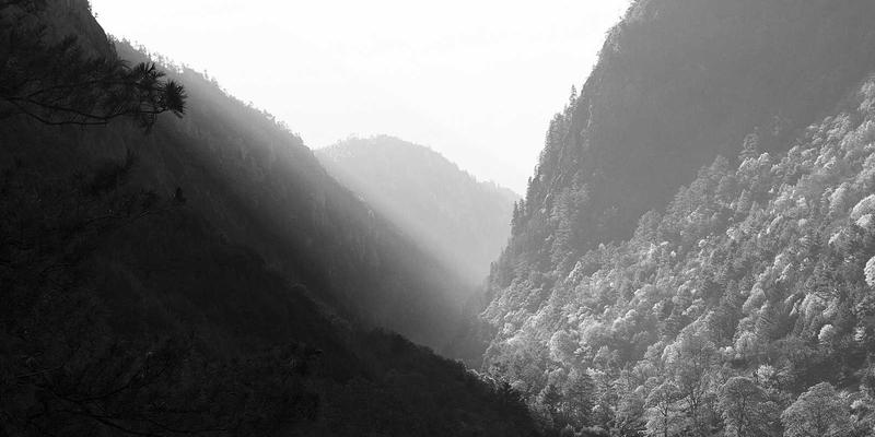 酷标志如何引领未来？探索可持续标识设计中的环保材料与模块化结构