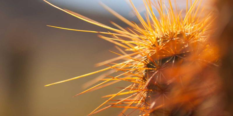 酷标志背后的色彩密码：LOGO设计中的色彩心理学与品牌策划实战指南